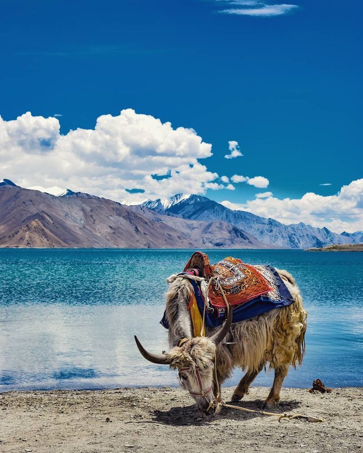 Ladakh Tour